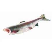 Whole Pink Salmon - $2.99/lb ($1.00 Off)