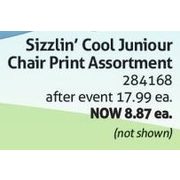 Sizzlin' Cool Juniour Chair Print Assortment - $8.87 (50% off)