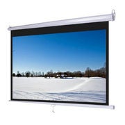 100" Screen with Projector Purchase - $98.00 ($100.00 off)