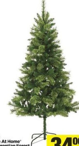 Real Canadian Superstore: Life At Home'' Laurentian Forest Cashmere Real Canadian Superstore Life At Home'' Laurentian Forest Cashmere mixed pine tree - $34.00 Life At Home'' Laurentian Forest Cashmere mixed pine tree - Real Canadian Superstore: Life At Home'' Laurentian Forest Cashmere