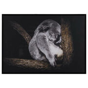 Sleeping Koala Printed Framed Art - $83.99 ($36.00 Off)