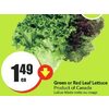 Green Or Red Leaf Lettuce - $1.49