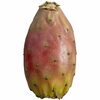 Prickly Pears - $0.99