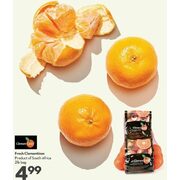 Fresh Clementines - $4.99