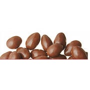 Chocolate Covered Almonds - 15% off