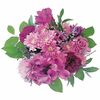 Dozen Ecuadorian Roses or Signature Gift Bouquets - $25.00